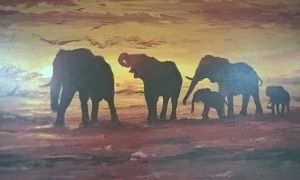 Psychoterapia grupowa zdecie sloni
